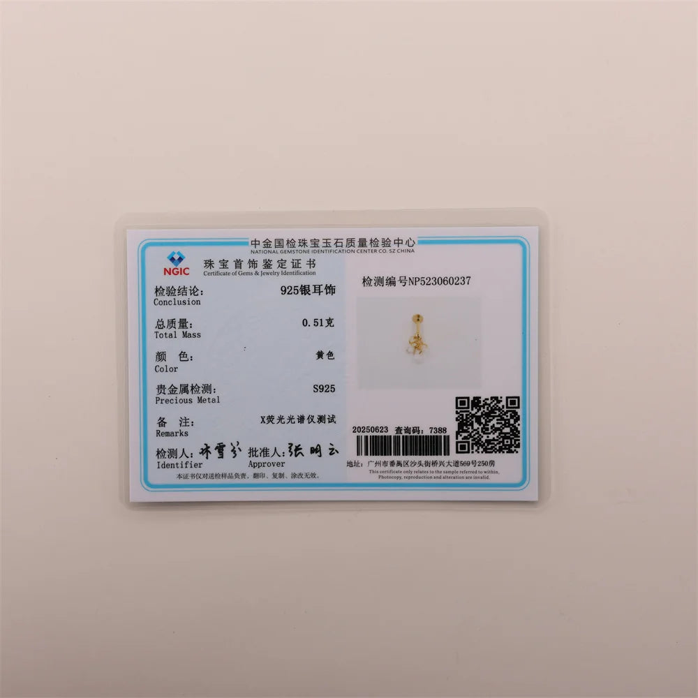 Aide 3pcs Ear Needle 5/6/8mm Flat Head Cartilage Piercing Stud Earring Women 925 Sterling Silver Flower Zircon Gold Ear Studs